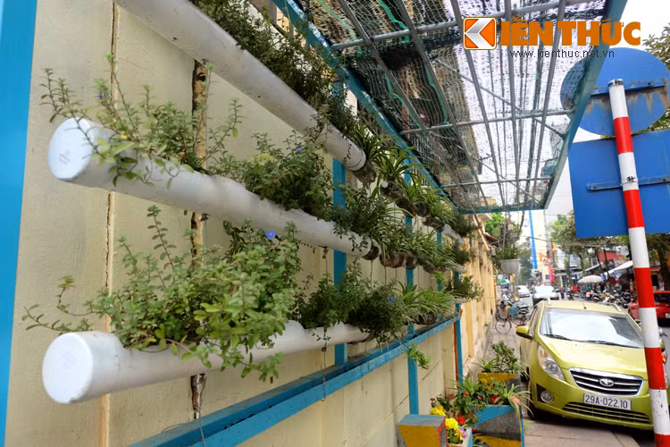 Góc phố Quang Trung (Hà Nội) hút mắt nhờ vườn hoa nhỏ như thế này.