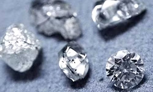 Ảnh minh họa.