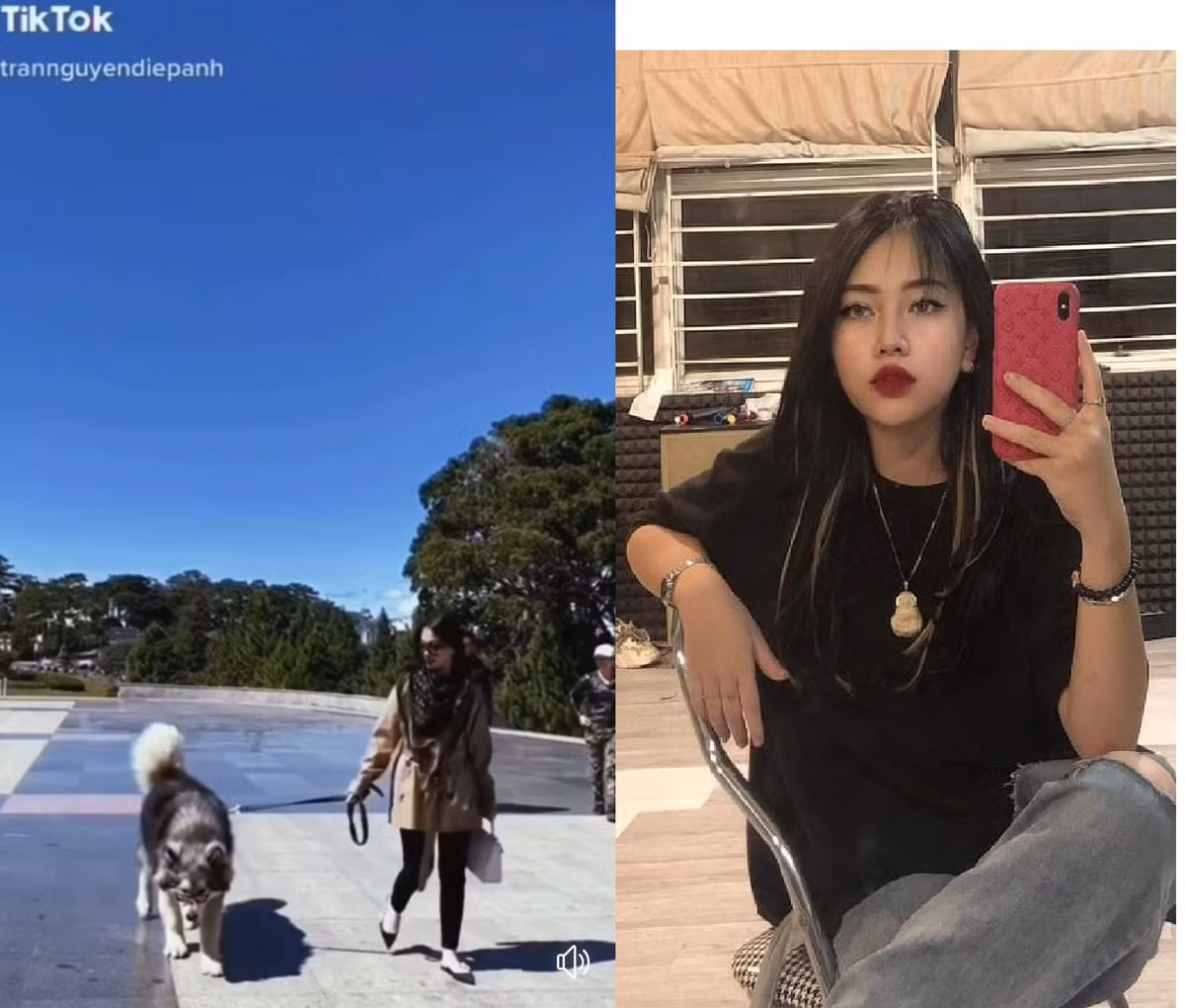 Hotgirl Tran Nguyen Diep Anh bi khoi to toi lua dao tung 