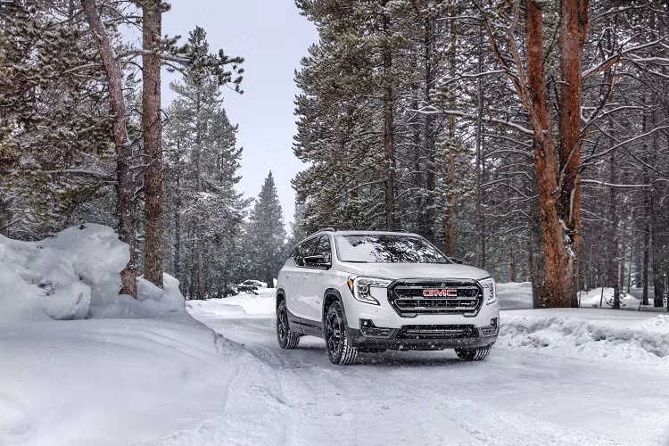 Mức giá xe GMC Terrain 2022 mới chưa được công bố nhưng dự định sẽ khá "mềm", phiên bản SLE, SLT và AT4 sẽ được bán vào mùa hè này, trong khi Terrain Denali sẽ đến vào mùa thu năm nay tại thị trường Mỹ.