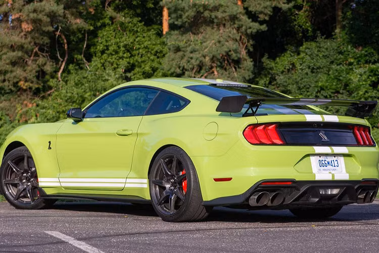 Về mặt tùy chọn, Ford Shelby GT500 mới sẽ có thêm gói trang bị Carbon Fiber Handling Package, đặt giữa gói Carbon Track Pack (18.000 USD) và Handling Pack (1.500 USD), trị giá 10.000 USD (khoảng hơn 230 triệu đồng). Gói trang bị này sẽ bao gồm một số chi tiết nâng cấp làm bằng sợi carbon, thanh giằng có thể điều chỉnh thủ công, hộp thu hồi xăng, dầu, đuôi gió Gurney, bộ chia gió trước và bộ mâm xe bằng sợi carbon kích thước 20 inch, sơn đen.
