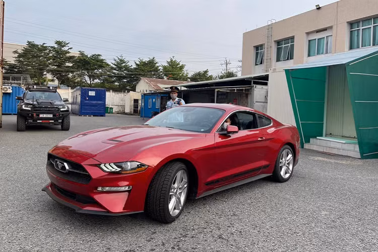 Mẫu xe thể thao Ford Mustang 2021 nổi bật với tông màu đỏ đậm, hần mui xe kéo dài tới đuôi sau kèm bộ vành 5 chấu kép nổi bật. Có hình dáng xe thể thao hai cửa nhưng Mustang vẫn có cấu hình 4 chỗ ngồi truyền thống.
