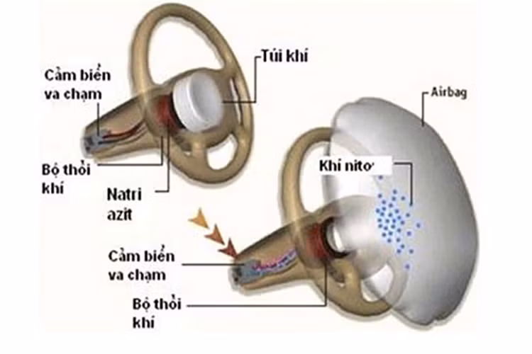 Nhung quan niem sai lam ve tui khi tren xe hoi-Hinh-5