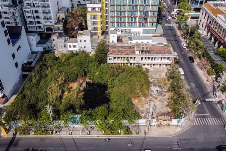 Khu đất vàng Nha Trang này rộng hơn 3.642 m2, bị bỏ hoang hơn 12 năm nay. Bên trong cỏ dại mọc um tùm, ao tù nước đọng đen ngòm.