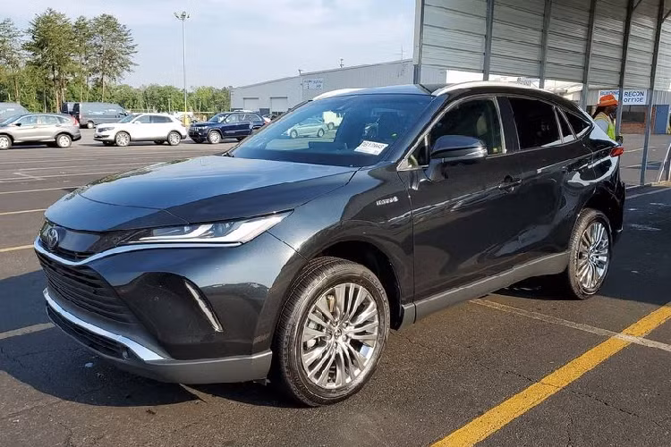 Suy đoán này thực tế rất có thể xảy ra bởi vì Toyota Harrier thế hệ cũ cũng từng chia sẻ động cơ tăng áp 2.0L 8AR-FTS với Lexus NX thế hệ trước. Xét cho cùng, việc dùng chung động cơ như vậy sẽ giúp tiết kiệm chi phí sản xuất xe và tăng lợi nhuận cho thương hiệu.