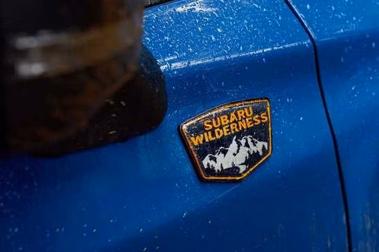 Dự kiến, Subaru Forester Wilderness 2022 sẽ được trang bị màn hình thông tin giải trí dạng cảm ứng 8 inch, ghế bọc chất liệu không phải da, có tác dụng chống nước, cũng như trần xe và những chi tiết ốp trang trí màu tối. Bên cạnh đó là gói công nghệ an toàn EyeSight quen thuộc của thương hiệu Subaru.