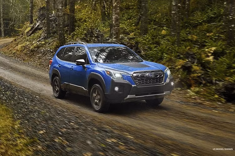 Vào hồi tháng 3/2021, hãng Subaru đã vén màn phiên bản Wilderness có thiết kế hầm hố hơn của dòng xe Outback. Sau Outback, đến lượt dòng SUV cỡ C - Subaru Forester 2022 mới được bổ sung phiên bản Wilderness tương tự. Hiện hãng Subaru chưa chính thức giới thiệu Forester Wilderness 2022 ra thị trường. Tuy nhiên, hình ảnh chính thức đầu tiên của mẫu xe này đã được đăng lên trang web chính thức của Subaru Canada.