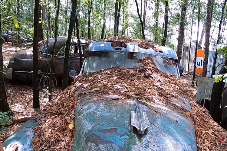 Old Car City có khởi điểm là một cửa hàng tổng hợp nhỏ vào năm 1931, và khu bất động sản này thuộc sở hữu và được điều hành bởi một gia đình kể từ đó. Bây giờ bạn sẽ không tìm thấy một cửa hàng nào ở đó, nhưng bù lại là một biển xe ôtô và xe tải cổ điển do Mỹ sản xuất.
