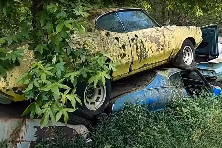 Old Car City cũng mang lại cảm giác rợn người. Với việc thảm thực vật đã chiếm gần hết diện tích đất, nhiều chiếc ôtô đã bị chôn vùi dưới đất hoặc bị lá cây che phủ. Nhiều người có thể sẽ rất buồn khi thấy hàng trăm, hàng nghìn chiếc xe cổ tuyệt vời đang chịu cảnh mục nát ở nơi đây, nhưng ít nhất bãi phế liệu này hiện đang hoạt động như một viện bảo tàng.