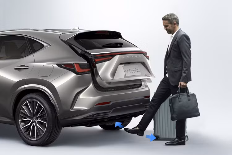 Tại thị trường Nhật Bản, chỉ có Lexus NX250 2022 là không có gói phụ kiện F Sport thể thao. Gói này sẽ bổ sung lưới tản nhiệt riêng, cản trước/sau thể thao hơn và bộ vành hợp kim 20 inch màu đen bóng cho xe.