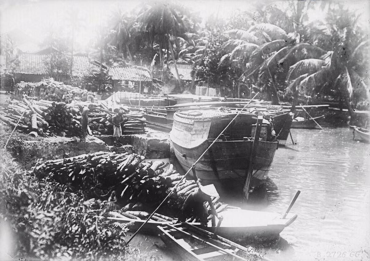 Củi gỗ khai thác ở địa phương được tập kết trên bến trước khi vận chuyển xuống thuyền để vận chuyển vào Sài Gòn và các khu vực lân cận. Ảnh tư liệu.