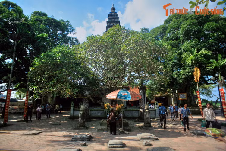 2. Nằm ở địa phận phường Lộc Vượng, thành phố Nam Định, Tỉnh Nam Định, chùa Phổ Minh hay chùa Tháp là một trong những dấu tích quan trọng còn lại của một thời Hào khí Đông A nhà Trần. Công trình nổi bật của chùa là tháp Phổ Minh, nằm trước tiền đường.