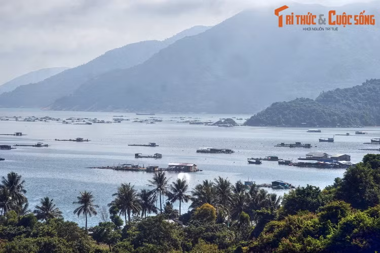 Vũng Rô là một vịnh nhỏ có phong cảnh hấp dẫn nằm ở huyện Đông Hòa, nằm sát rìa dãy núi Đèo Cả. Thời kháng chiến chống Mỹ, vịnh Vũng Rô là một địa chỉ tiếp nhận vũ khí bí mật từ miền Bắc chuyển vào qua những chuyến tàu không số lịch sử.