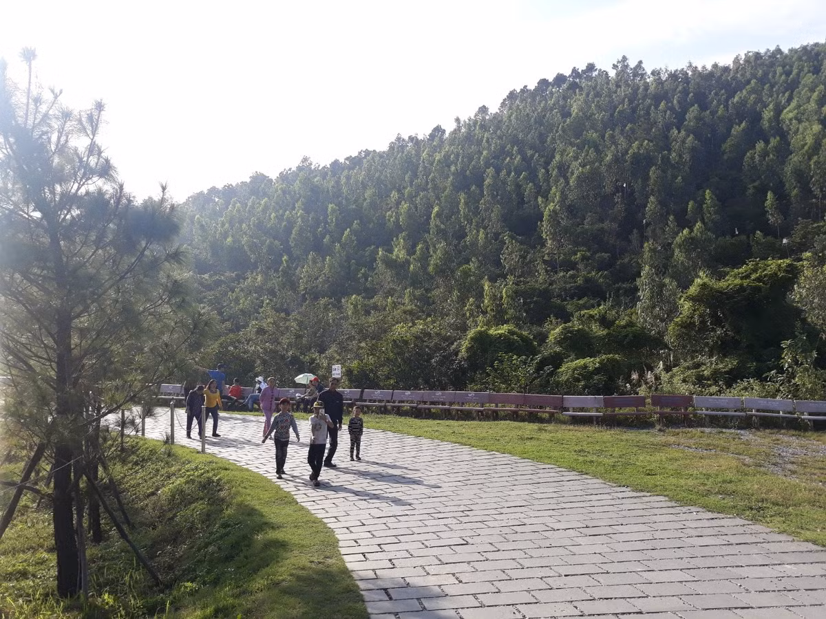 Hoạt động viếng mộ Đại tướng Võ Nguyên Giáp bình thường trở lại - Hình 2 Hoat dong vieng mo Dai tuong Vo Nguyen Giap binh thuong tro lai-Hinh-2