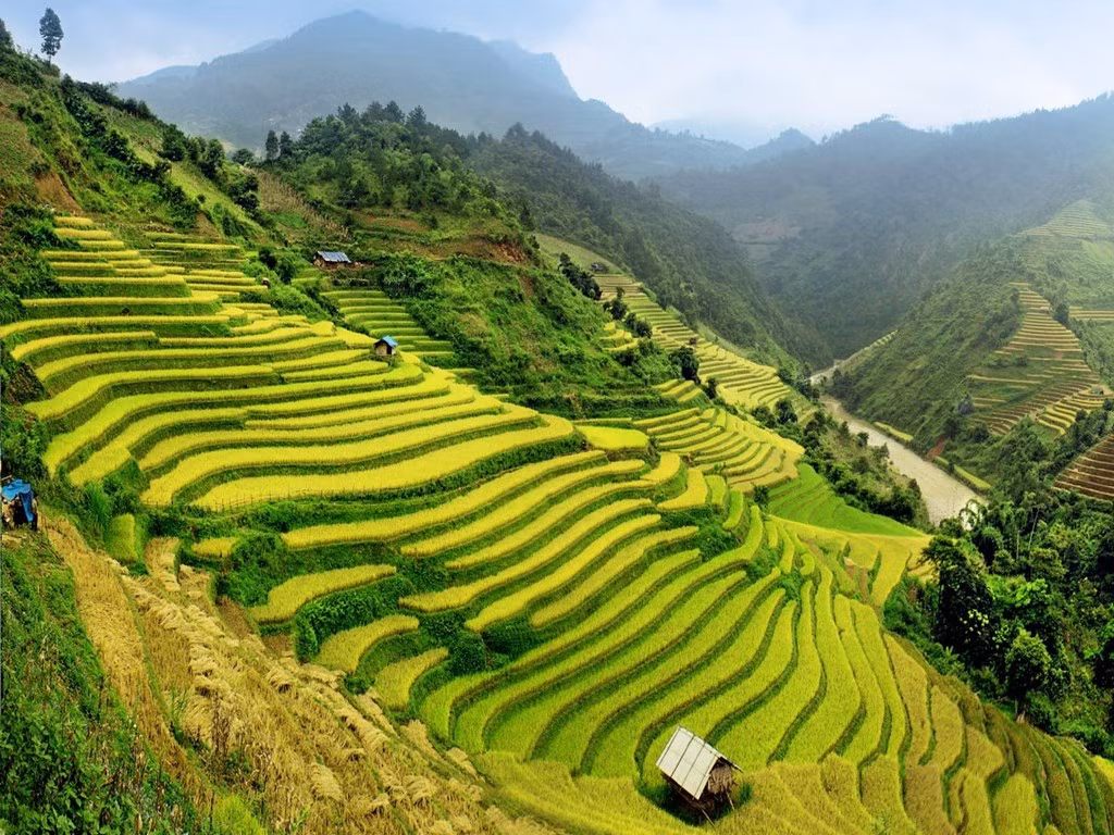  Việt Nam: Đầu bếp nổi tiếng Anthony Bourdain cho biết chuyến đi tới Việt Nam đã thay đổi đời ông. Trả lời CNTraveler, Bourdain nói: “Nơi đó giống như một hành tinh khác, với đầy những món ngon hút tôi vào và không bao giờ thả ra”. Bạn có thể thong dong thưởng thức phở và cà phê ở những thành phố lớn, lên đường chu du miền núi với ruộng bậc thang tuyệt đẹp hay chinh phục Sơn Đoòng, hang động lớn nhất thế giới.