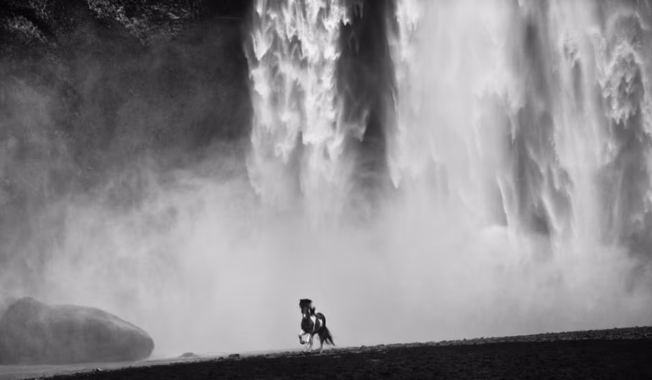 Những tác phẩm của David Yarrow nhận được sự ủng hộ nhiệt tình, được in thành sách và xuất bản bởi Clearview, liên kết với tổ chức từ thiện bảo tồn Tusk.