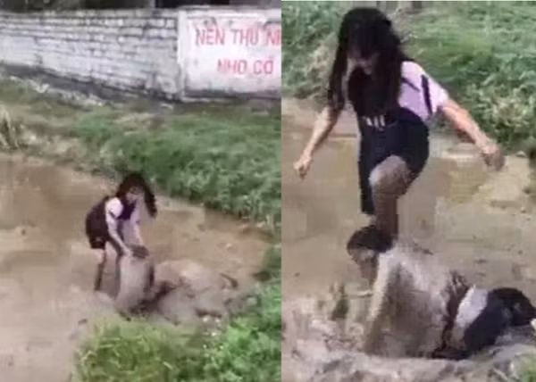  Nữ sinh lớp 9 bị bạn cùng trường đánh dã man, nhấn xuống bùn: Ngày 15/11, em L. N. D. (SN 2008), học sinh lớp 9A và em L. T. P. (SN 2009), học sinh lớp 8A, trường THCS Phùng Giáo, huyện Ngọc Lặc, Thanh Hóa đến trường để tập văn nghệ. Gặp nhau ở cầu thang của trường, D. nói với P. "khóa dưới mà không biết chào hỏi các chị khóa trên à" nên giữa 2 nữ sinh xảy ra mâu thuẫn. 