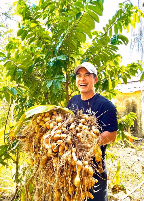 Nam diễn viên chia sẻ hình ảnh thu hoạch ở khu vườn nhà.