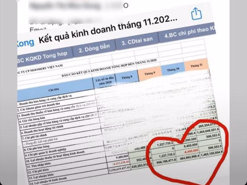 Nhã Phương từng công khai mức doanh thu của công ty dao động từ 500 triệu - 1,5 tỷ mỗi tháng. Ảnh: Dân Việt