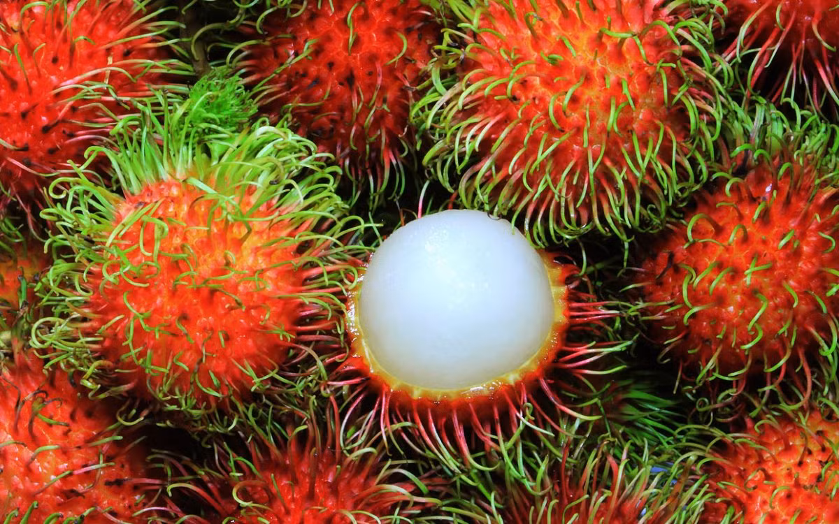 Quả chôm chôm. Đây là loại trái cây khá ngon, được trồng nhiều ở phía Nam. Tuy nhiên, loại trái cây này cũng được liệt vào danh sách trái cây có tính nóng và sẽ có thể khiến bạn bị mụn nhọt. Vì vậy, bạn nên ăn với số lượng vừa phải.