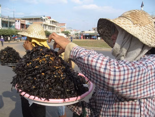 Món nhện chiên ở Campuchia. Những con nhện đen to được chiên giòn từ lâu đã là món ăn khoái khẩu của người dân bản địa Campuchia nhưng nó thực sự là thử thách đối với khách nước ngoài.