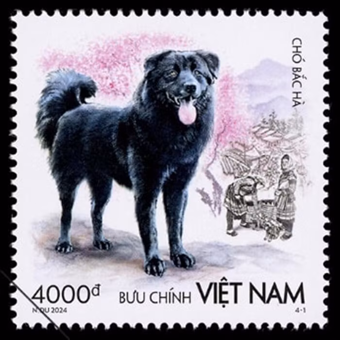 Hình nền mẫu tem "Chó Bắc Hà" thể hiện cảnh chợ phiên Bắc Hà, Lào Cai. Ảnh: Bưu điện Việt Nam.