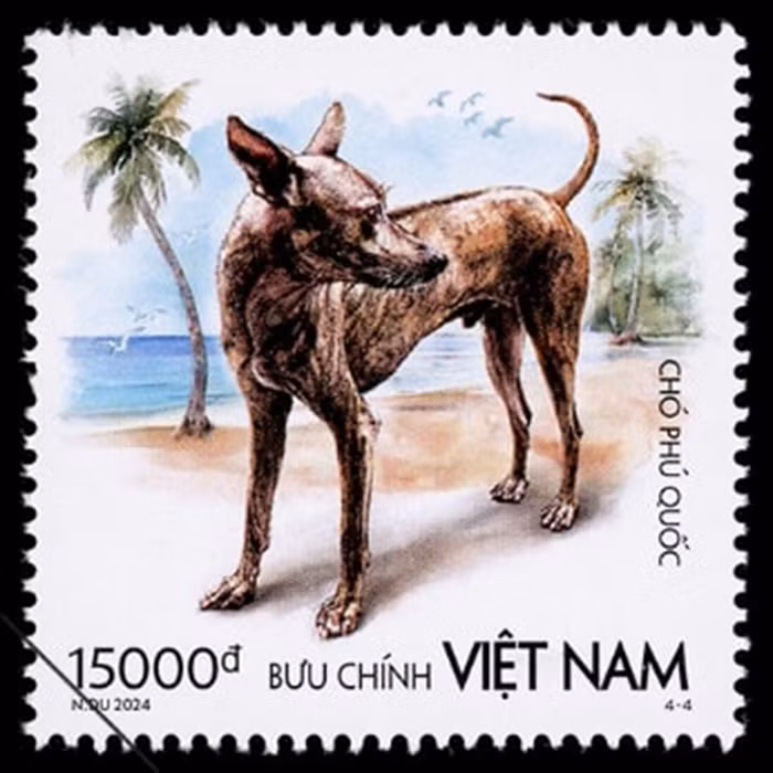 Hình nền mẫu tem "Chó Phú Quốc" thể hiện cảnh bãi biển Phú Quốc, Kiên Giang. Ảnh: Bưu điện Việt Nam.