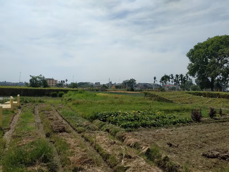 Thon co 2 nghia trang, nguoi chet khong co cho chon: 