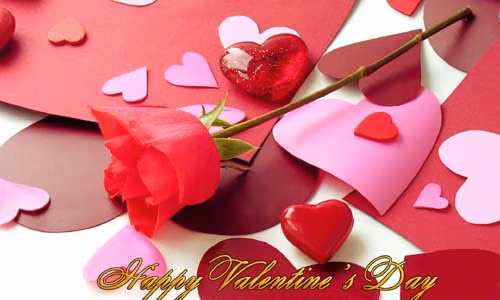 Vào những năm 1980, vào ngày Valentine, các cặp tình nhân thường tặng hoa hồng, thiệp, Chocolate... Trong đó, hoa hồng đỏ tượng trưng cho tình yêu mãnh liệt.