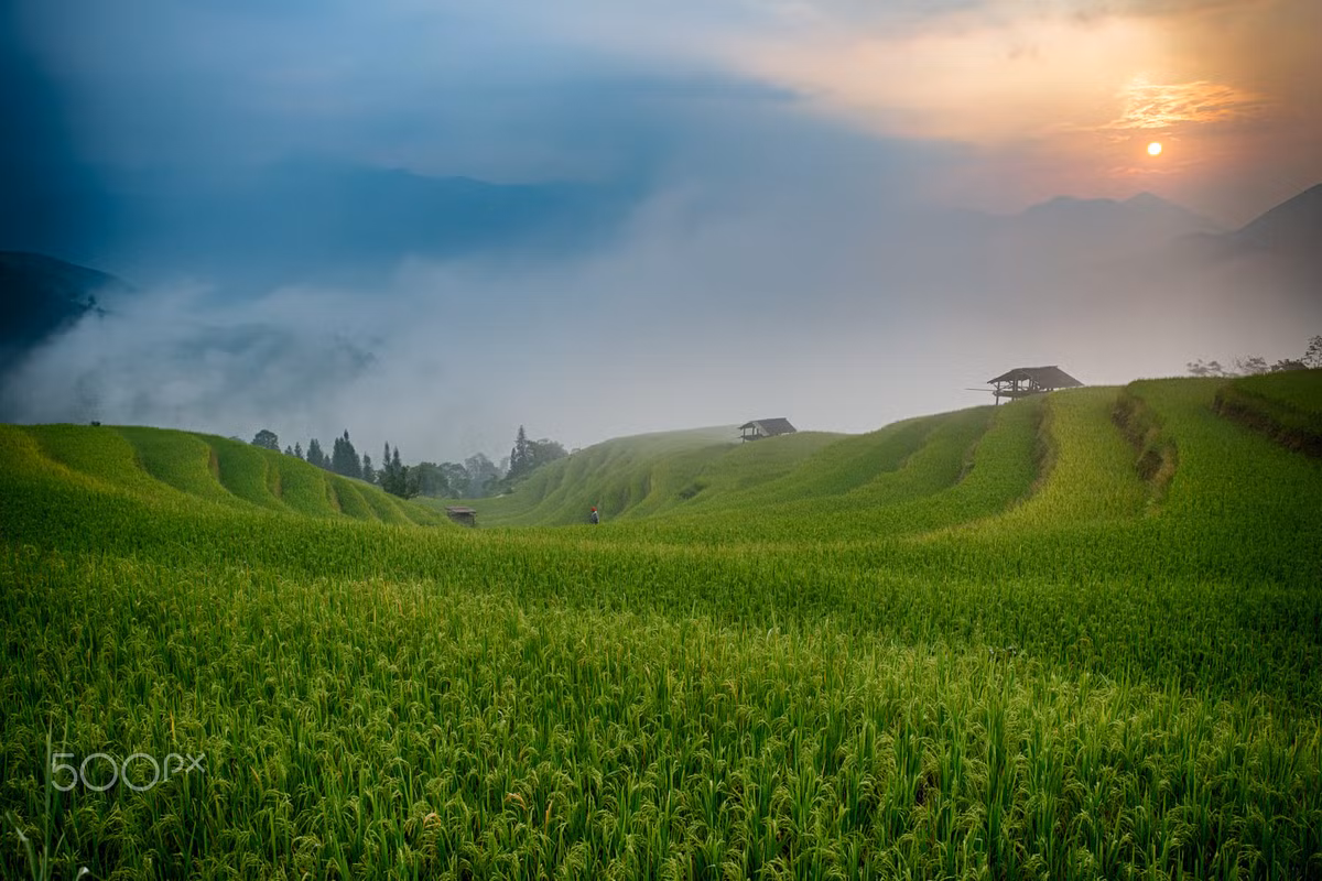 Buổi sáng huyền ảo trên thửa ruộng bậc thang Hà Giang. Ảnh: Sylvain Marcelle / 500px.com.