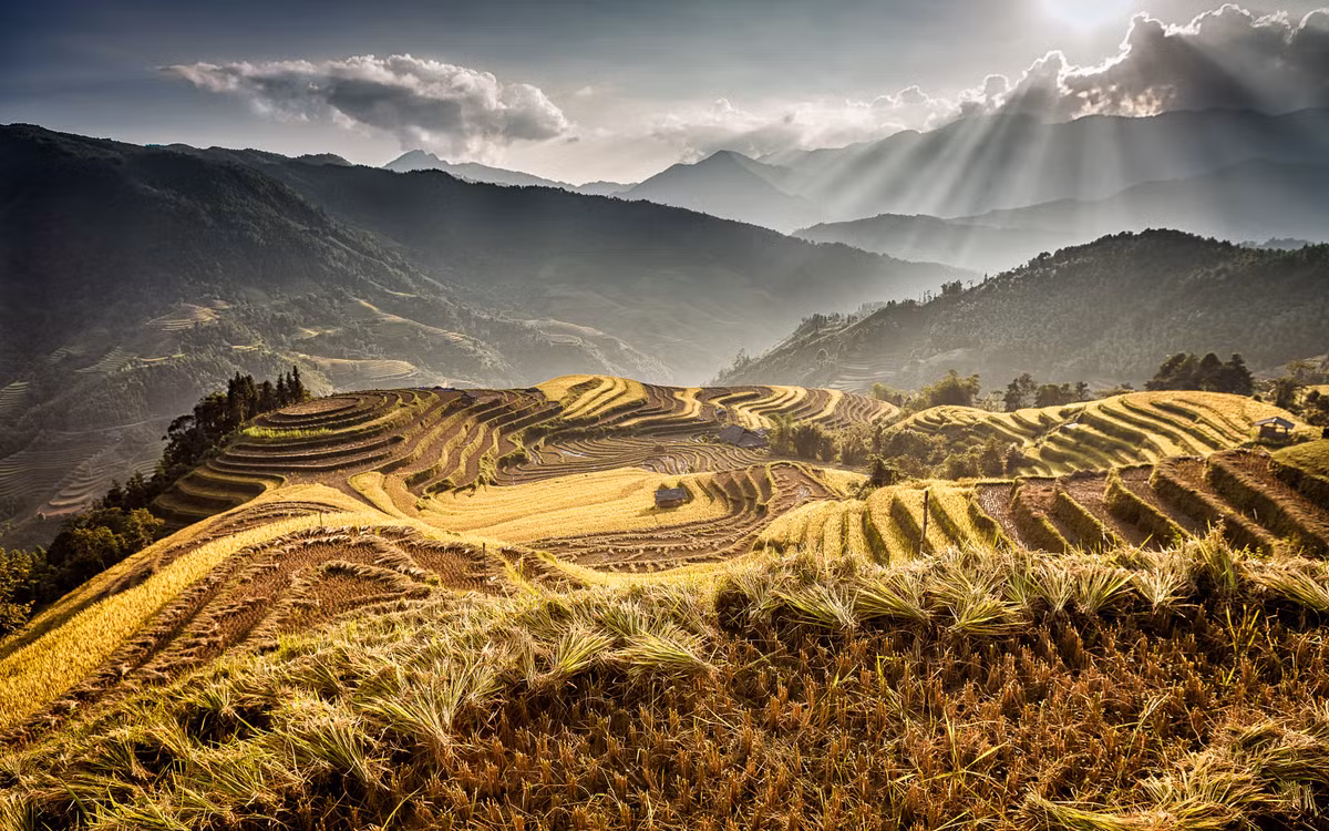 Mùa gặt ở miền địa đầu Hà Giang. Ảnh: Sylvain Marcelle / 500px.com.