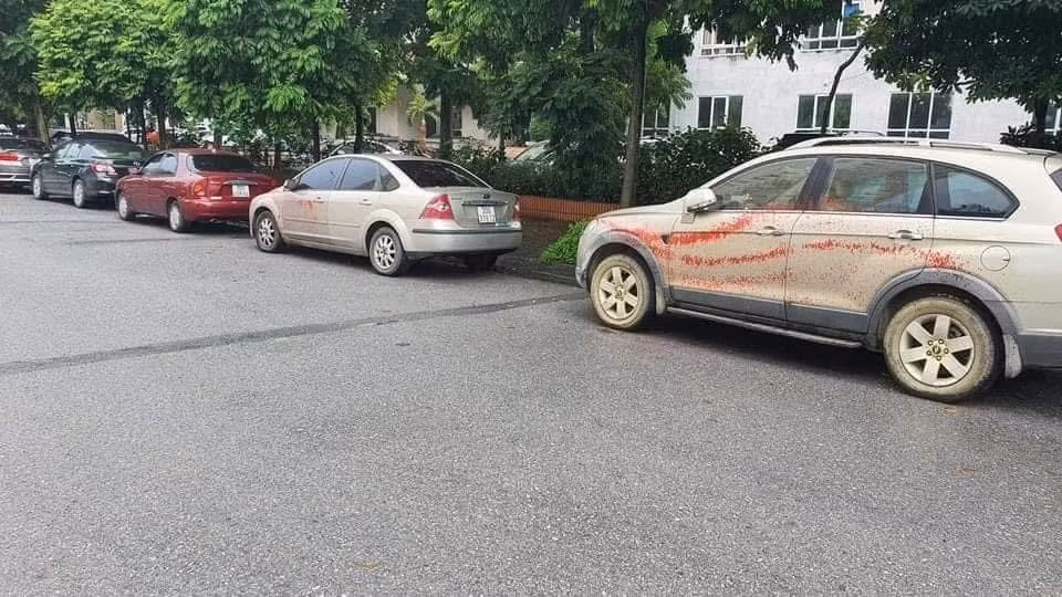 Ngoài ra, gần địa điểm xảy ra vụ tạt sơn còn có bãi rửa ghi dòng chữ "dọn nội thất ô tô", "trông xe ngày và đêm" được quây tôn kín và bên trong có nhiều xe ô tô để đây. 