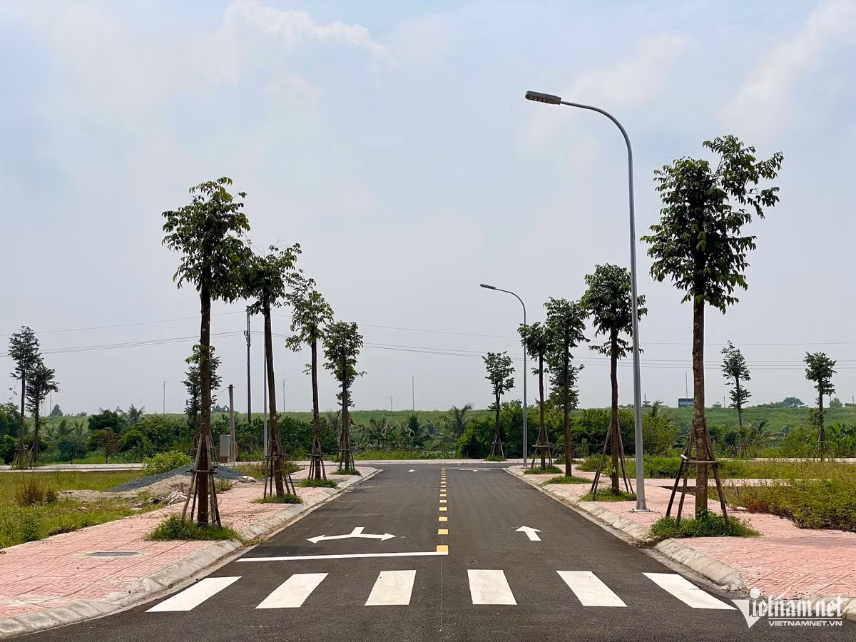 2 lô đất có giá trúng đấu giá cao thứ 2 lần lượt là lô LK03-6 và LK04-6 giá 127,3 triệu đồng/m2.