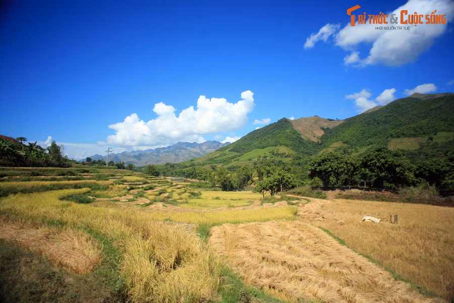 Những thửa ruộng bậc thang khiến bức tranh phong cảnh càng thêm phong phú.