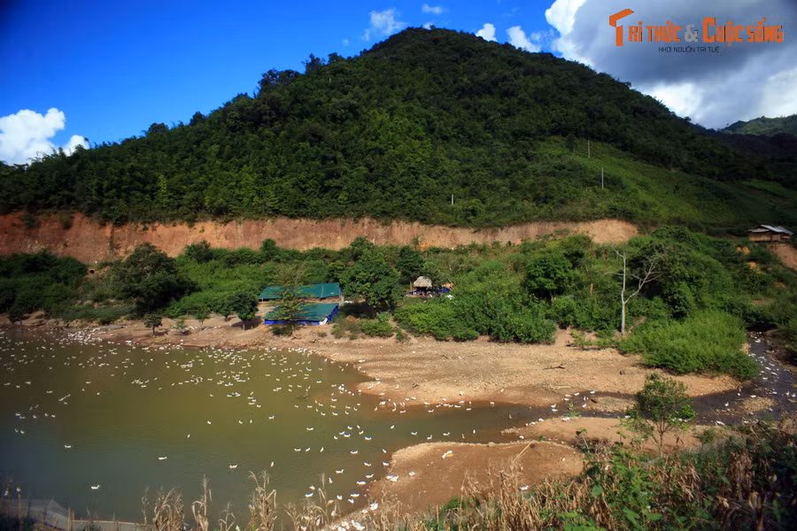 Những đốm trắng phủ lên một góc hồ. Đó là đàn vịt của cư dân địa phương.