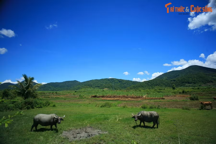 Đi vào khu vực trung tâm xã Hà Tam, khung cảnh trở nên sinh động hơn với các hoạt động sản xuất nông nghiệp đa dạng của cư dân địa phương.
