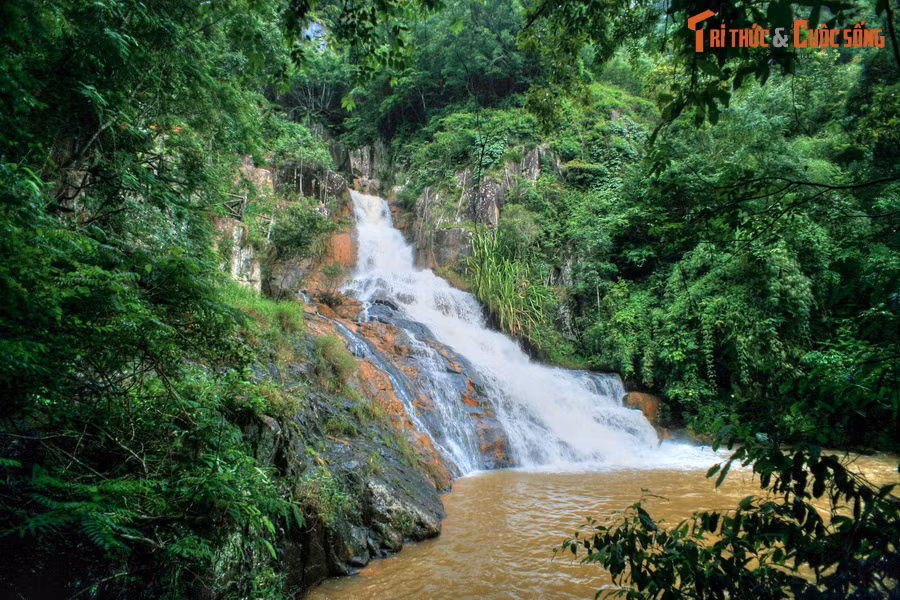Cuộc giao tranh diễn ra vô cùng ác liệt làm gió nổi lên dữ dội, cây đổ ào ào. Lợi dụng lúc hai con rắn lè lưỡi, Lang rút dao đi rừng chặt đứt bay hai lưỡi của rắn rồi lấy 9 mũi cung tên bắn vào bầy chó sói và cáo làm chúng bỏ chạy tán loạn...