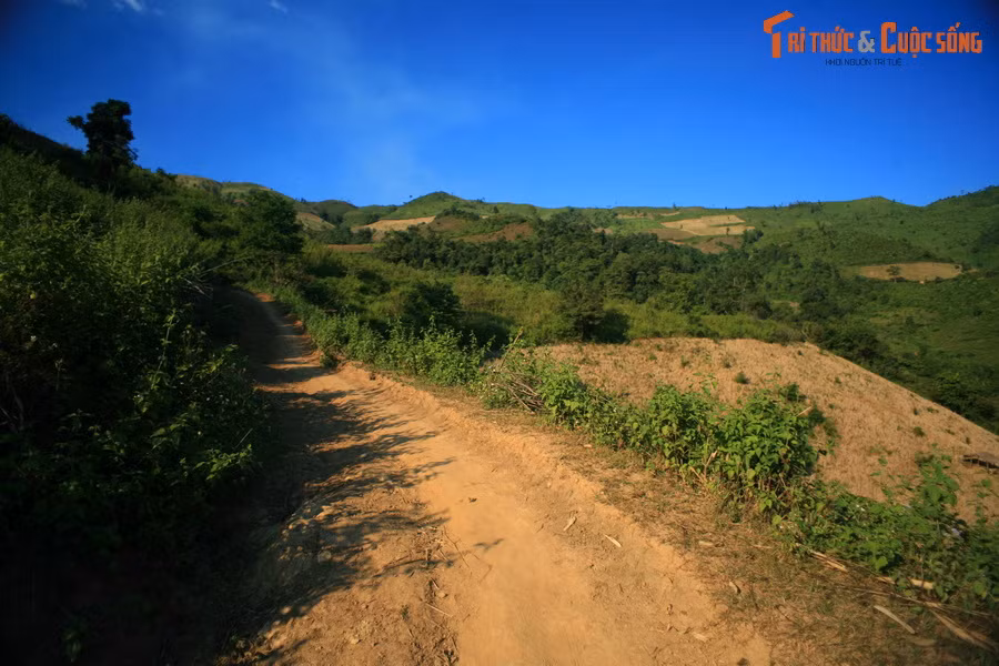 Hết rừng lại đến đồi núi.
