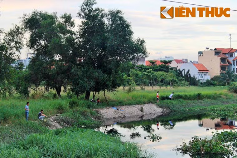 Được biết sau khi thực hiện xong công tác giải phóng mặt bằng, chủ đầu tư đã mời Công ty Cổ phần Gia Tuệ theam gia thực hiện dự án nhưng đơn vị này sau đó đã không đáp ứng được yêu cầu.