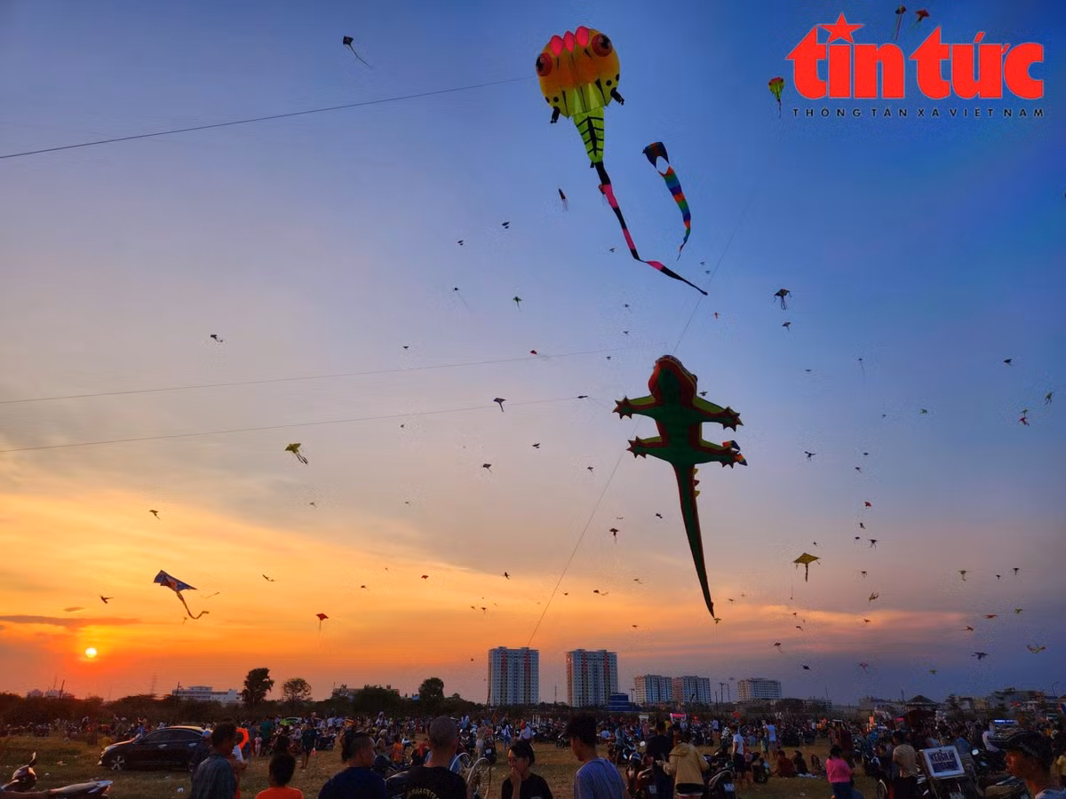 TP. HCM, noi canh dong dieu rong lon-Hinh-10