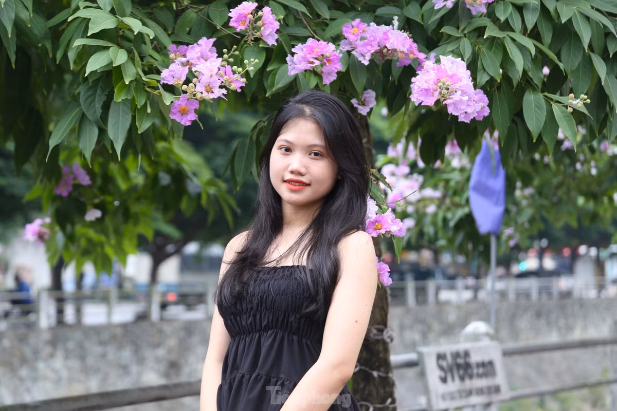 Giới trẻ Vinh thả dáng trong con đường ngập tràn sắc tím - Hình 4 Gioi tre Vinh tha dang trong con duong ngap tran sac tim-Hinh-4