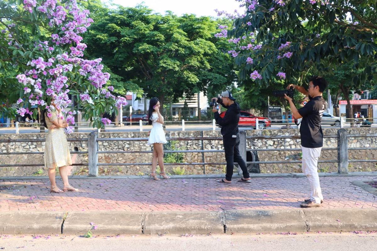 Giới trẻ Vinh thả dáng trong con đường ngập tràn sắc tím - Hình 12 Gioi tre Vinh tha dang trong con duong ngap tran sac tim-Hinh-12
