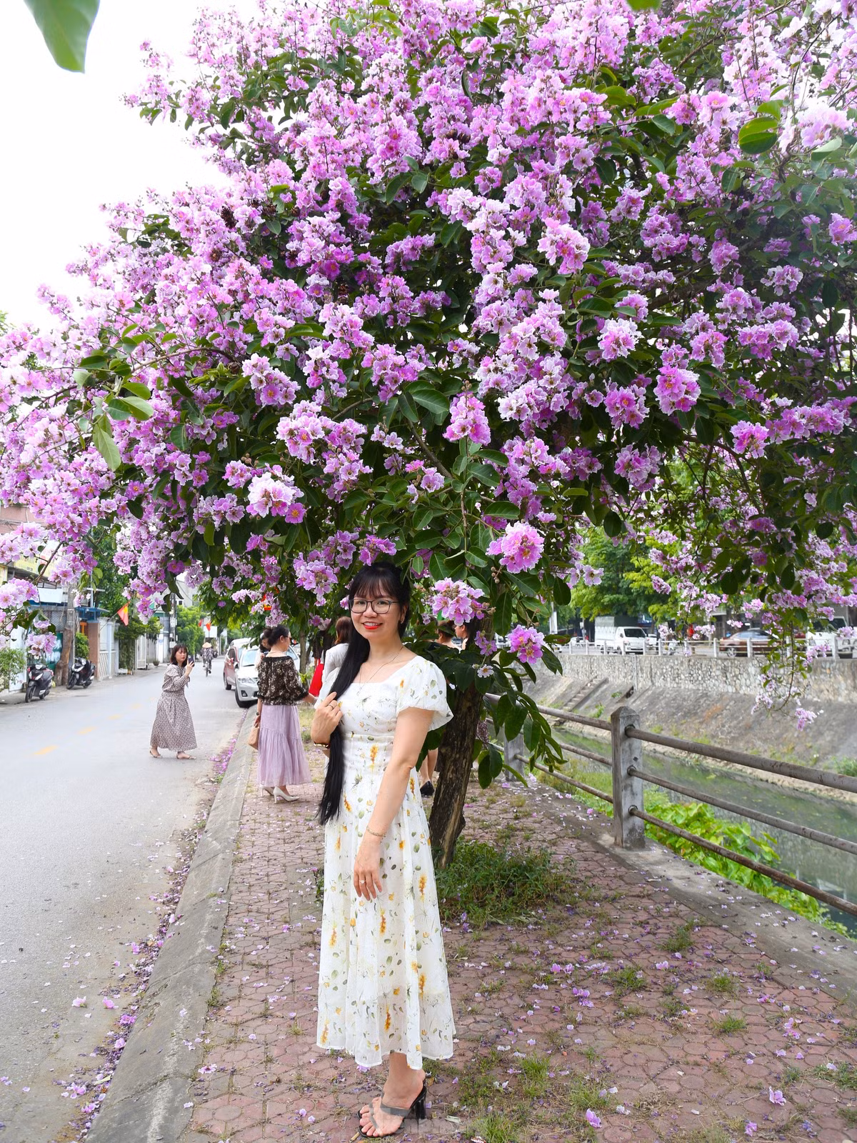 Giới trẻ Vinh thả dáng trong con đường ngập tràn sắc tím - Hình 13 Gioi tre Vinh tha dang trong con duong ngap tran sac tim-Hinh-13