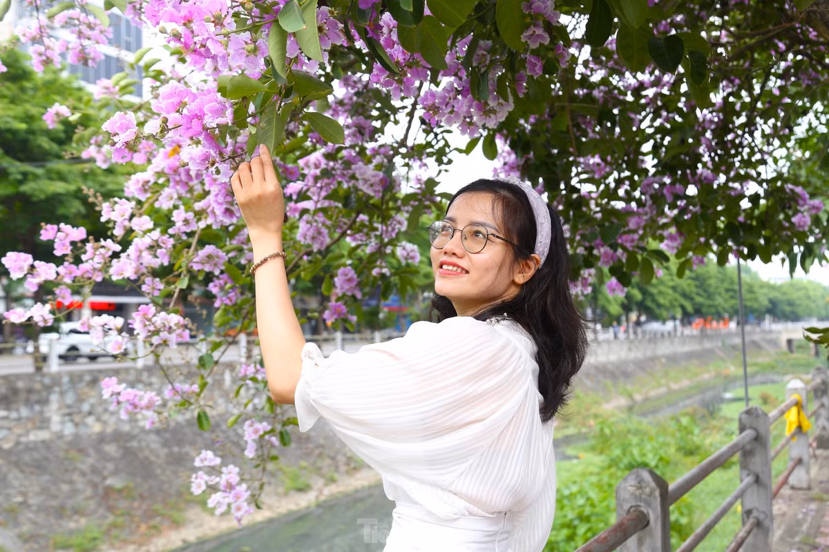 Giới trẻ Vinh thả dáng trong con đường ngập tràn sắc tím - Hình 5 Gioi tre Vinh tha dang trong con duong ngap tran sac tim-Hinh-5