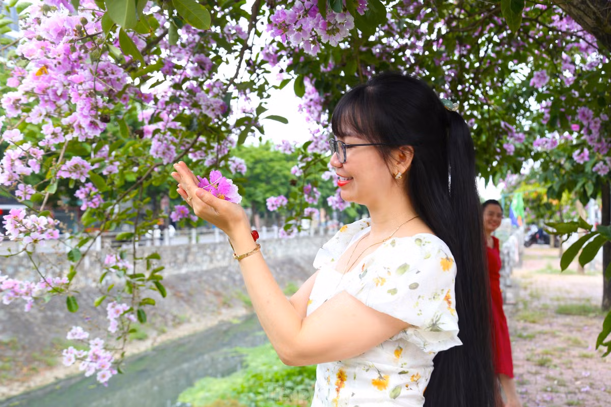 Giới trẻ Vinh thả dáng trong con đường ngập tràn sắc tím - Hình 7 Gioi tre Vinh tha dang trong con duong ngap tran sac tim-Hinh-7