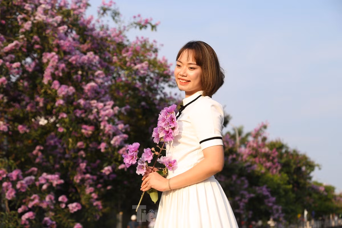 Giới trẻ Vinh thả dáng trong con đường ngập tràn sắc tím - Hình 9 Gioi tre Vinh tha dang trong con duong ngap tran sac tim-Hinh-9