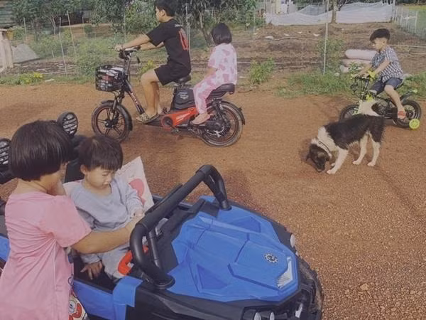 Oanh Yến nhận sai lầm khi đưa các con bỏ phố về quê - Hình 15 Oanh Yen nhan sai lam khi dua cac con bo pho ve que-Hinh-15