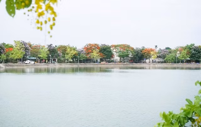 Duong hoa dep nhu xu Han, gioi tre thi nhau check-in-Hinh-11