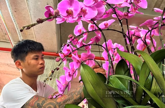 Nghe sieu hot can Tet tai Nghe An, lam khong het viec-Hinh-5