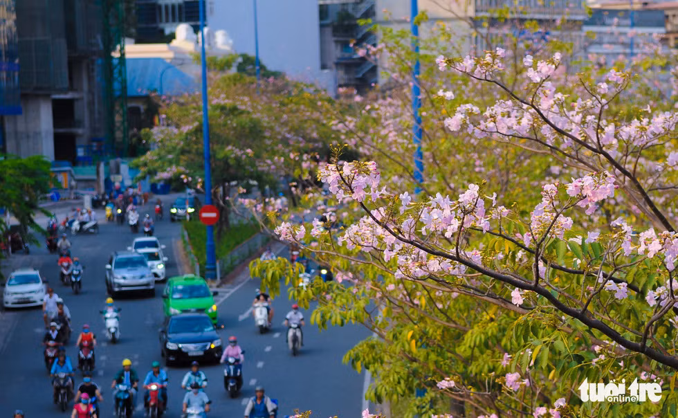 Rợp hoa phía miệng hầm Thủ Thiêm, Q.1 - Ảnh: THUẬN KHÁNH